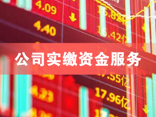 塔城公司实缴资金服务
