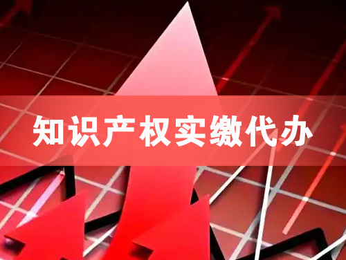 塔城知识产权实缴资本代办